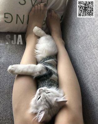 久久影院一级片_国产剧高清完整版